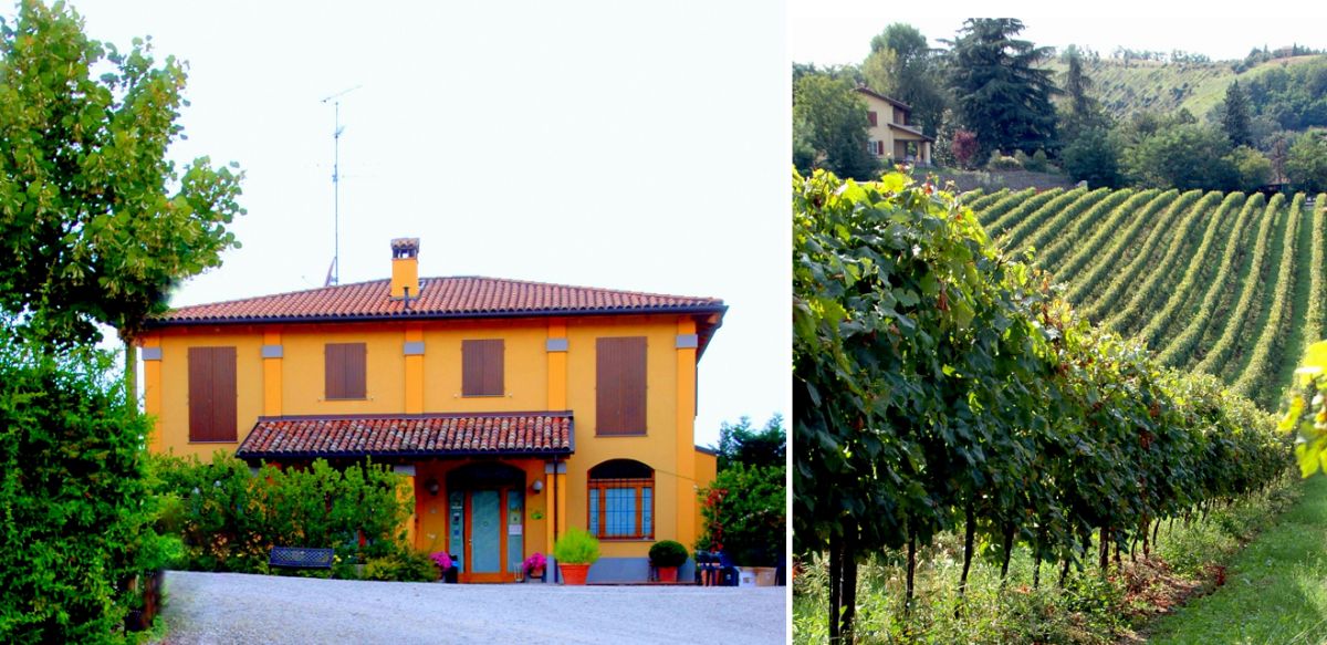 Gaggioli - Weingutsgebäude und Weinberg